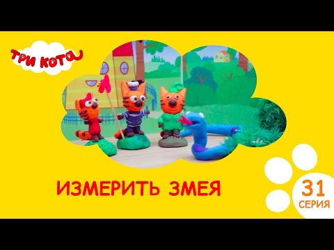 Три кота. Измерить змею | Выпуск №31