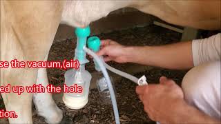 Demonstrating Milkers in the Nepali Language