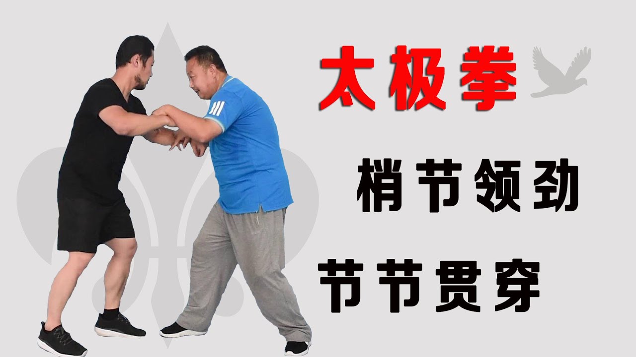 练习太极拳究竟是梢节领劲,还是节节贯穿?庞恒国师父2分钟分析(Taichi) - YouTube