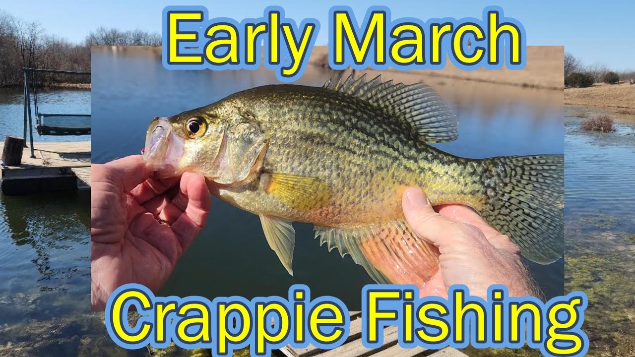 Z-Man Shad FryZ for Early March Crappie in Central Missouri
