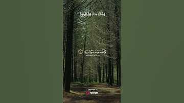 صوت لا يُنسى | عبد الباسط عبد الصمد يتلو وكأن الآيات تُنزل من جديد