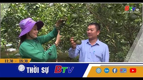 Bước chuyển mạnh mẽ của kinh tế tập thể nông nghiệp | BTV - TRUYỀN HÌNH BÌNH DƯƠNG