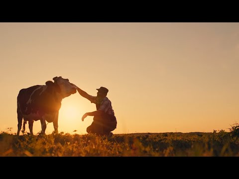 Nestlé Food TV Commercial Generation Regeneration A Regenerative Future For Dairy Farming