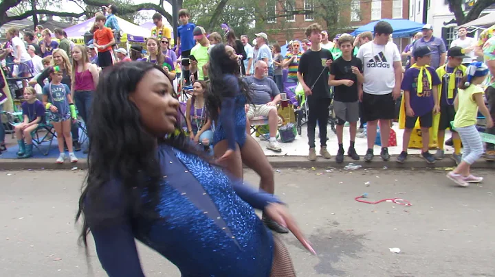 Stillman College Blue Pride Dancers | 2019 | Krewe Tucks | Mardi Gras Parade |