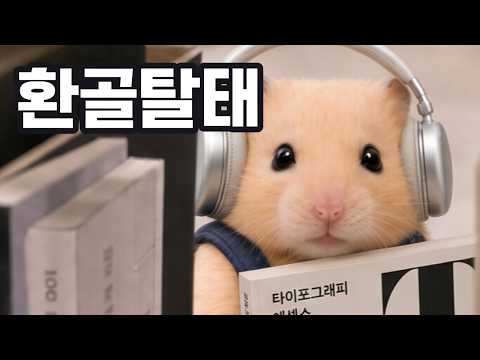 종나 어려운 것 thumbnail