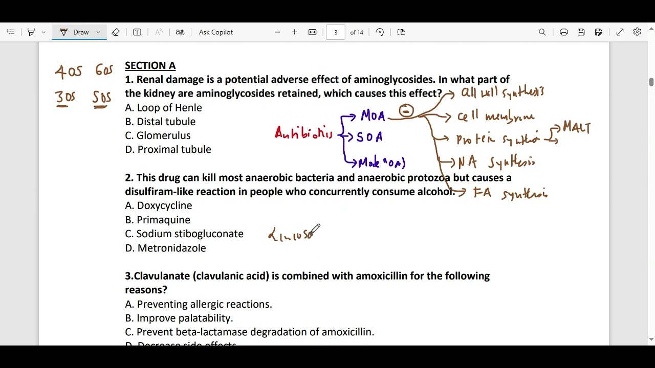 pharmacology test 2 2024 Part 1