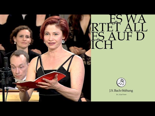 Bach-Stiftung