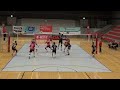 Adam brewster denmark volleyball highlights