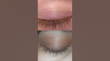 Green brown eye transition ✨ #ytshorts #eyes
