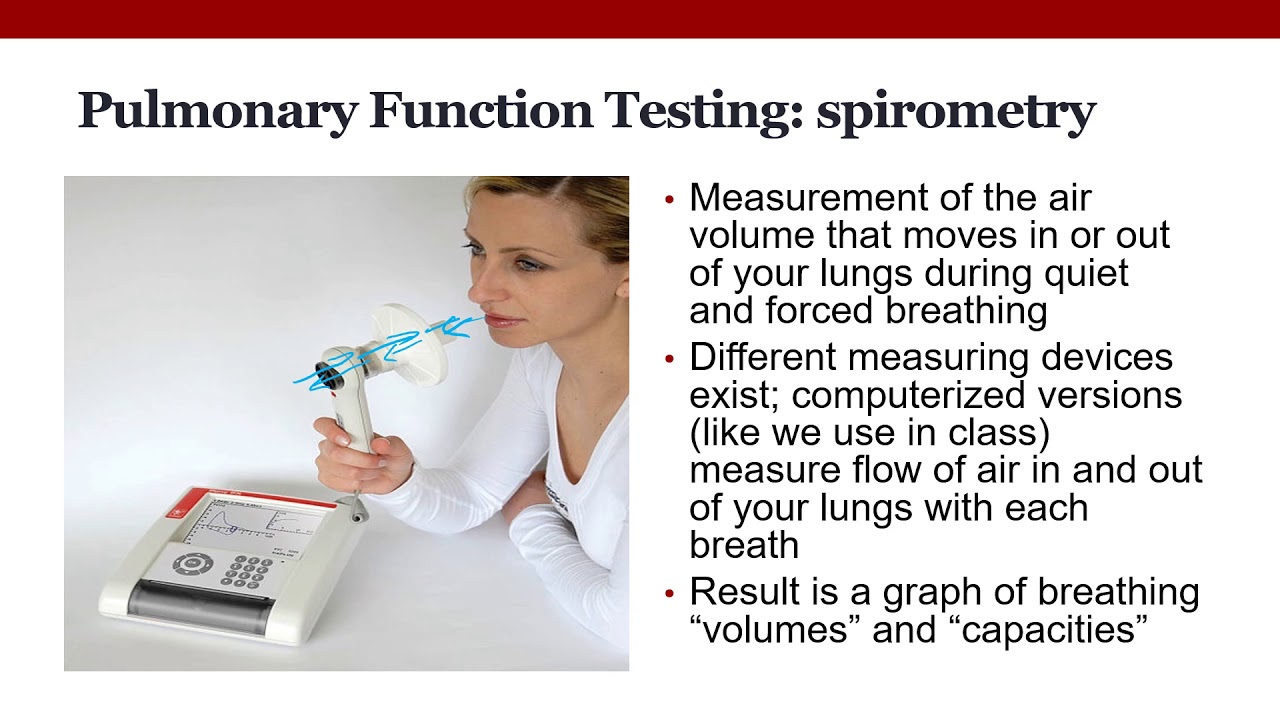 Respiratory Physiology 3 Pulmonary Ventilation YouTube