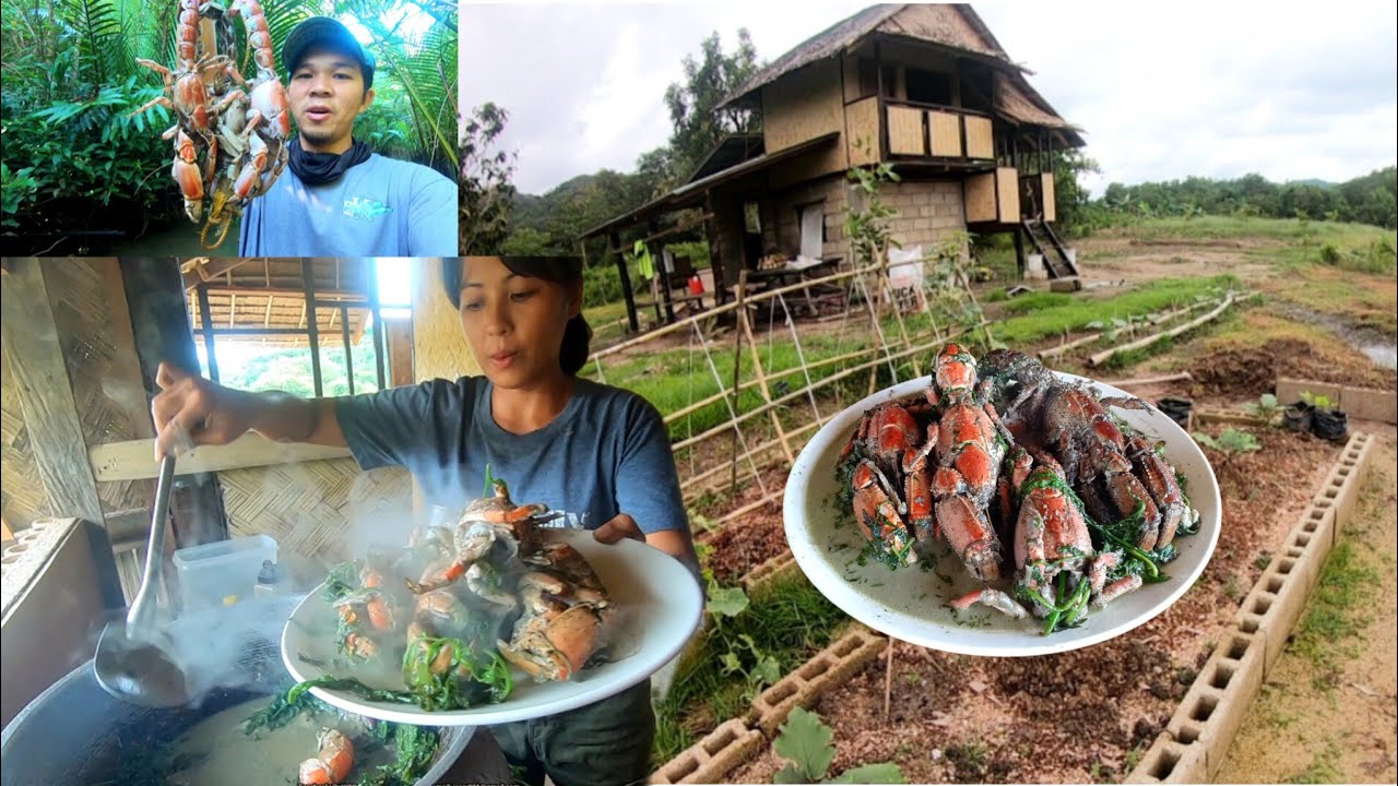 Ep.604- Nakahuli ang trap ng mud lobster | bukids