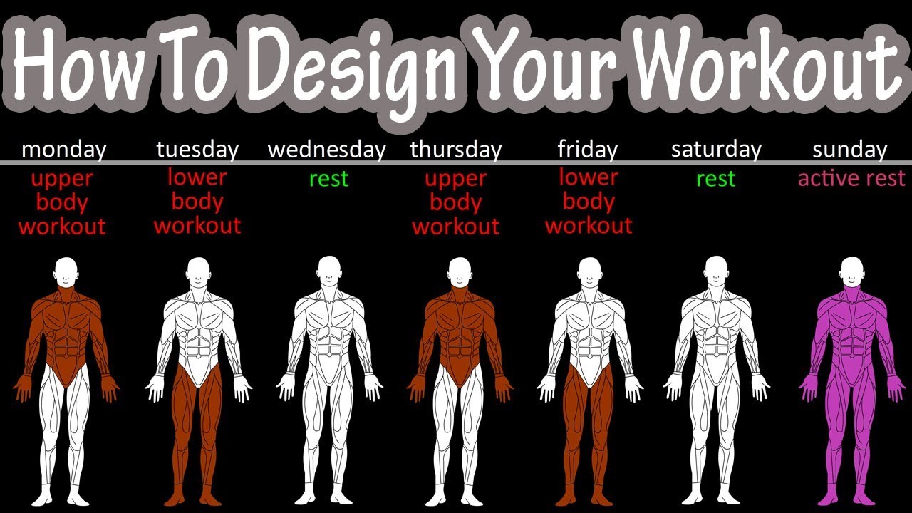 Muscle Workout Chart