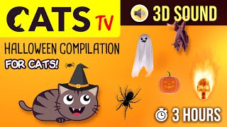 CATS TV  Halloween Compilation  Games for cats  3 HOURS