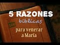 RAZONES BIBLICAS DEL POR QUÉ VENERAMOS A MARÍA