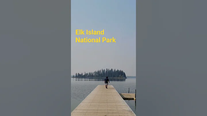 Elk Island National Park #elkisland #canada #shortvideo