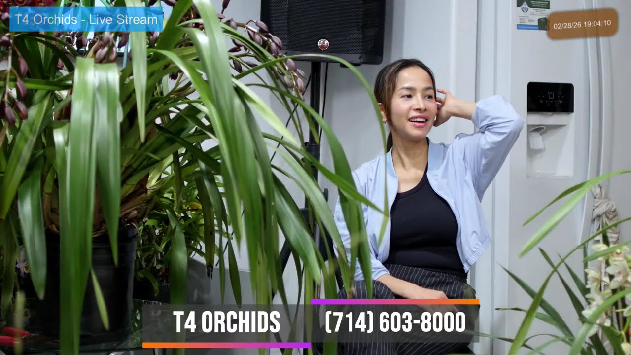 T4 Orchids ~ Livestream Feb 28, 2026  ~ Sell & Trade All Orchids Collections~ (714) 603-8000