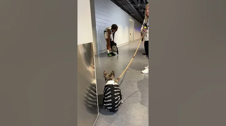 MarJon Beauchamp's dog Pluto wasn't feeling more w...