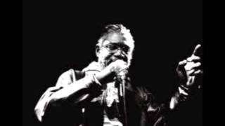 Jah Warrior featuring Horace Andy - Wash That Dub