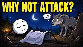 Why Wild Predators Never Attack Sleeping Humans