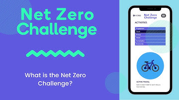 What is the Net Zero Challenge?