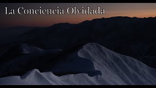 La conciencia olvidada | Reflexión