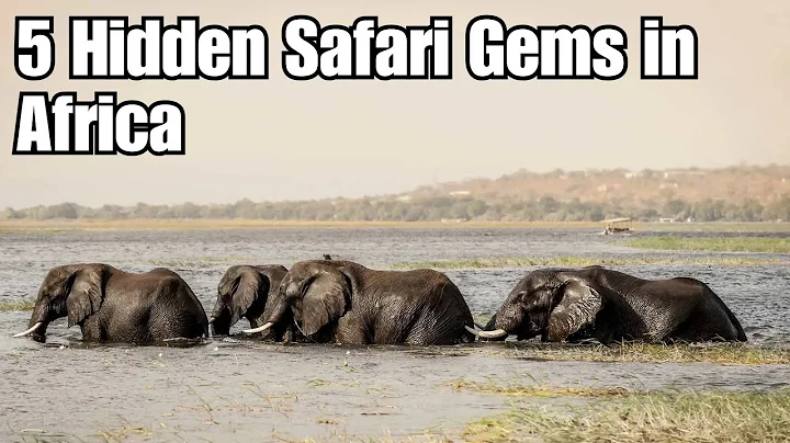 5 Hidden Safari Gems in Africa (70% More Affordable!) | 2025 Wildlife Guide