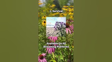 The sampled hi hats, full breakdown on my channel! #hiphop #mpc #sampling #drums #music #beatmaking