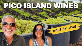 INSULA ATLANTIS WINERY - PICO ISLAND WINES AT ITS BEST -Unique vineyards make special wines -Ep 242