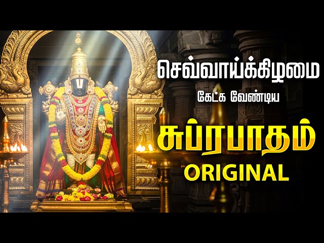 🔴LIVE | சனிக்கிழமை கேட்க வேண்டிய சக்தி வாய்ந்த பெருமாள் சுப்ரபாதம் Perumal Suprabhatam Tamil