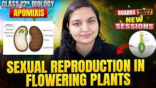 Class 12 Biology | Sexual Reproduction in Flowering Plants - Apomixis | Boards 2026-27