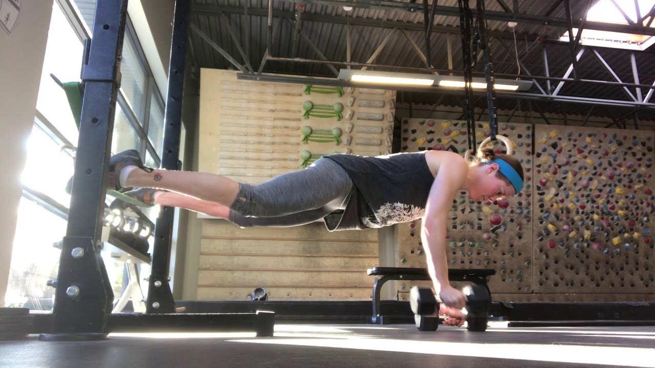 Reverse Chaos Renegade Rows pull ups costco