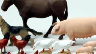 Exacto (Esatto!) - Francesco Salvi