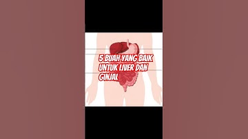 5 Buah Yang Baik Untuk Menjaga Liver dan Ginjal