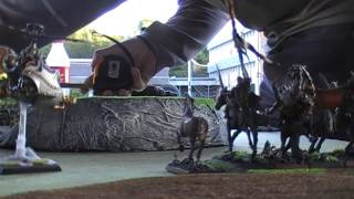 9th Age battle report no 48 Sylvan elves vs Dwarfs 4500p , Refused flank, secure targets