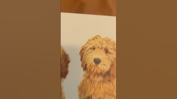 Making ugly transitions part 4￼