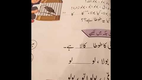 Urdu Lecture 3 (Class Prep)
