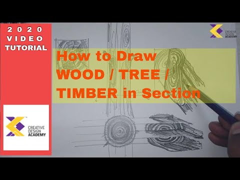 How wood is cut from tree for use I texture of timber I wooden shading