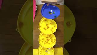 Marble Run Page Race Asmr Wooden Slope 2025-816