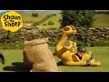 A Bad Fall Shaun The Sheep Cartoons For Kids Full Episodes Compilation 1 Hour 