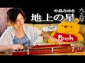 【大正琴】中島みゆき「地上の星」covered byひっとん【多重録音】【6パート演奏】