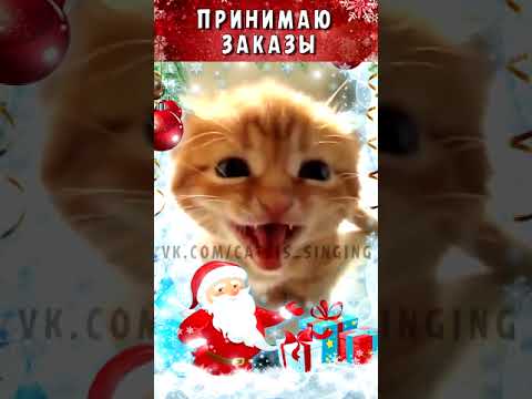 Видео: Котенок спел Новогоднюю песню short#