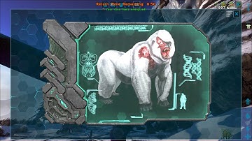 (Solo) Beta Megapithecus Fight - ARK: Survival Evolved