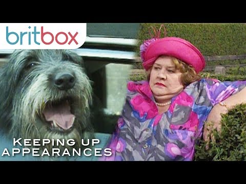 Hyacinth's Hilarious Experiences With Dogs | Keeping Up Appearances