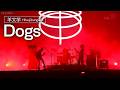 羊文学 - Dogs | MUSIC AWARDS JAPAN 2026