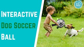 Jolly Soccer Ball | Best Interactive Dog Soccer Ball Toys in 2021 screenshot 5
