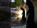 Pet Death in Sims 3: What to Do π₯