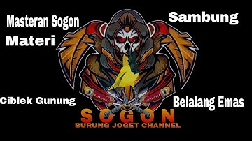 Masteran Sogon Ngebreen Ciblek Gunung Sambung Belalang Emas #belalangemas  #masteransogon