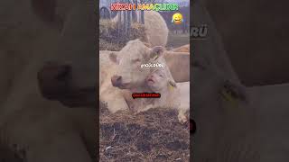 Anasina Bak Kizini Al