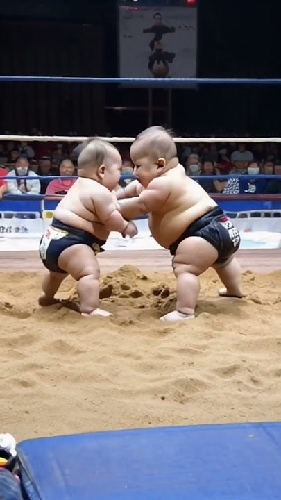 Traditional sumo wrestling professional 😎