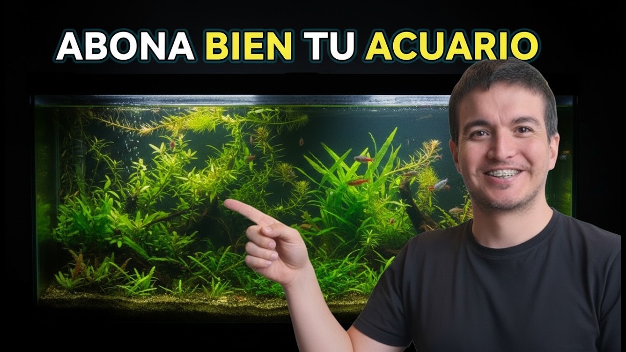 “El error de fertilización que está matando tu acuario”